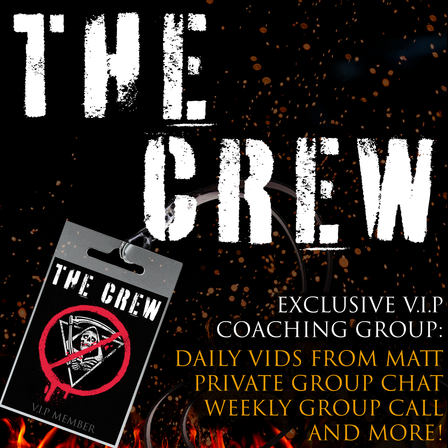 AMPLIFY | THE CREW | Exclusive VIP Group (Original Member)